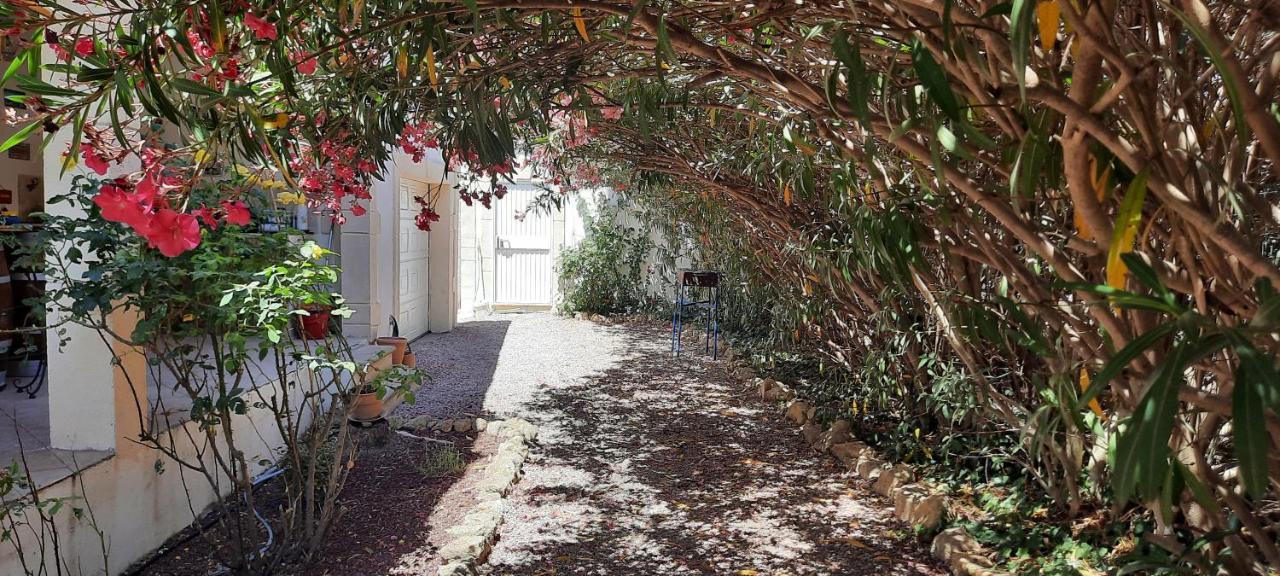 Bed and Breakfast Fenetre Sur Les Alpilles Saint-Martin-de-Crau Exteriér fotografie